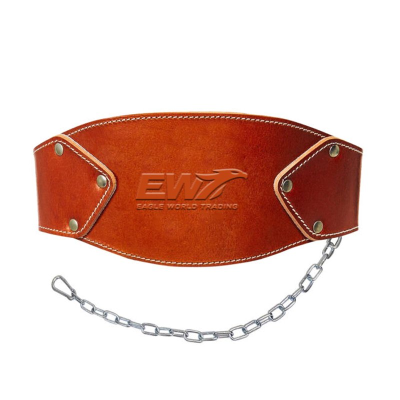 Dip Belt